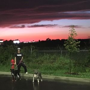 Meet your Posher, Bradley